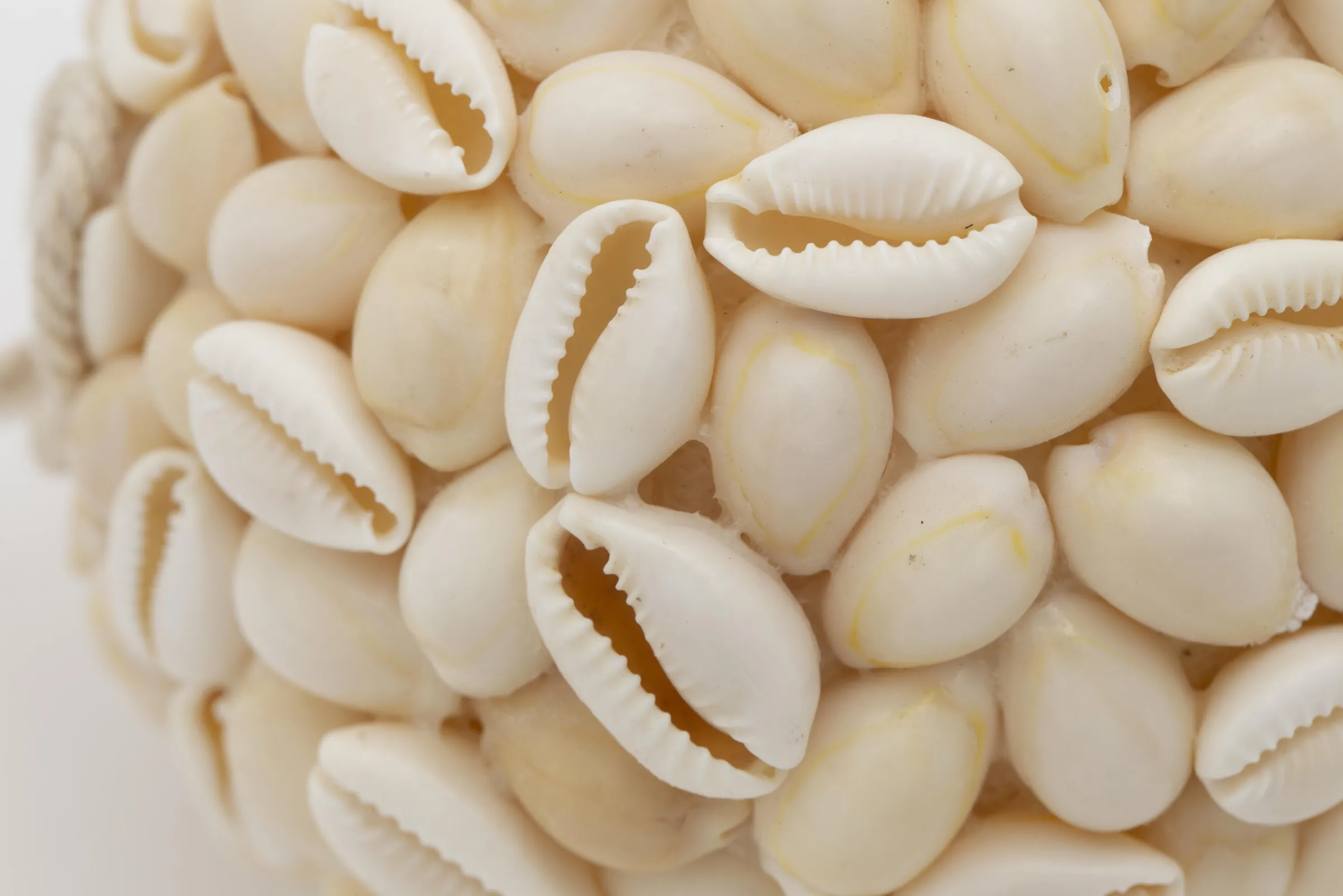 Flamant Cass, Decobal, L^ Moederdag