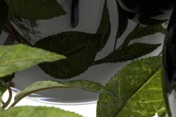 Flamant Chiaz, Vaas, Glas, Zwart^ Decoratie