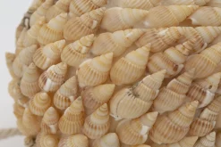 Flamant Darcio, Decobal, L^ Moederdag