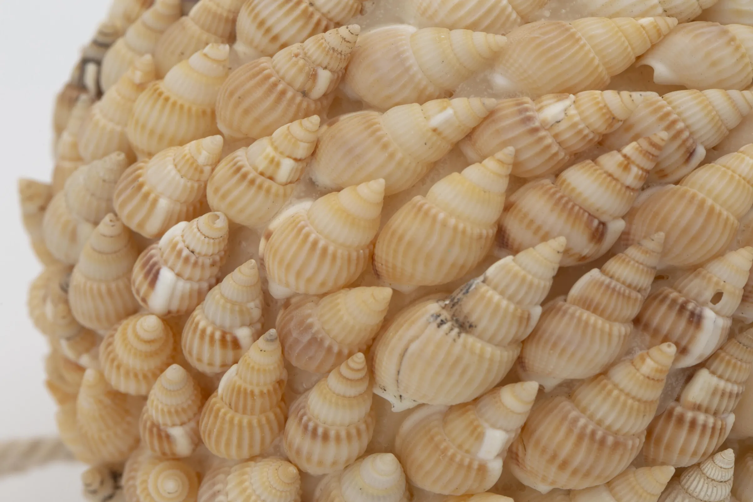 Flamant Darcio, Decobal, L^ Moederdag