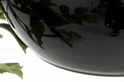 Flamant Griegos, Vaas, Glas, Zwart^ Moederdag