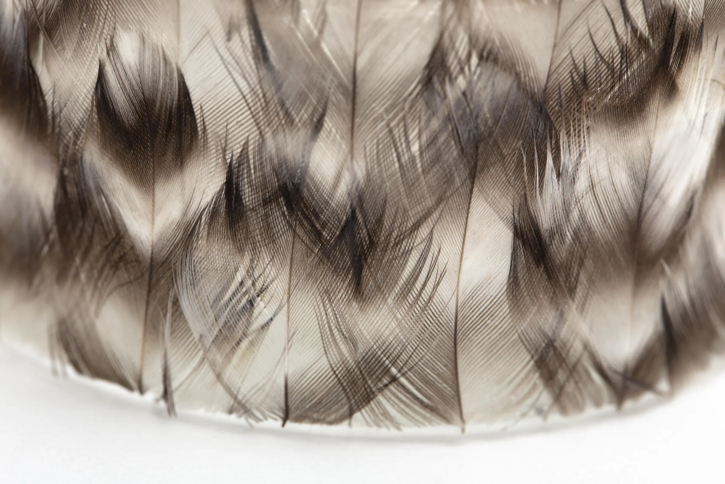 Flamant Hannigan, Theelichthouder, Veren, L^ Decoratie