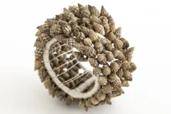 Flamant Kanare, Servetring, Schelpen^ Accessoires