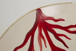 Flamant Kao, Serveerschaal, Koraal, Rond^ Borden, Borden En Kommen