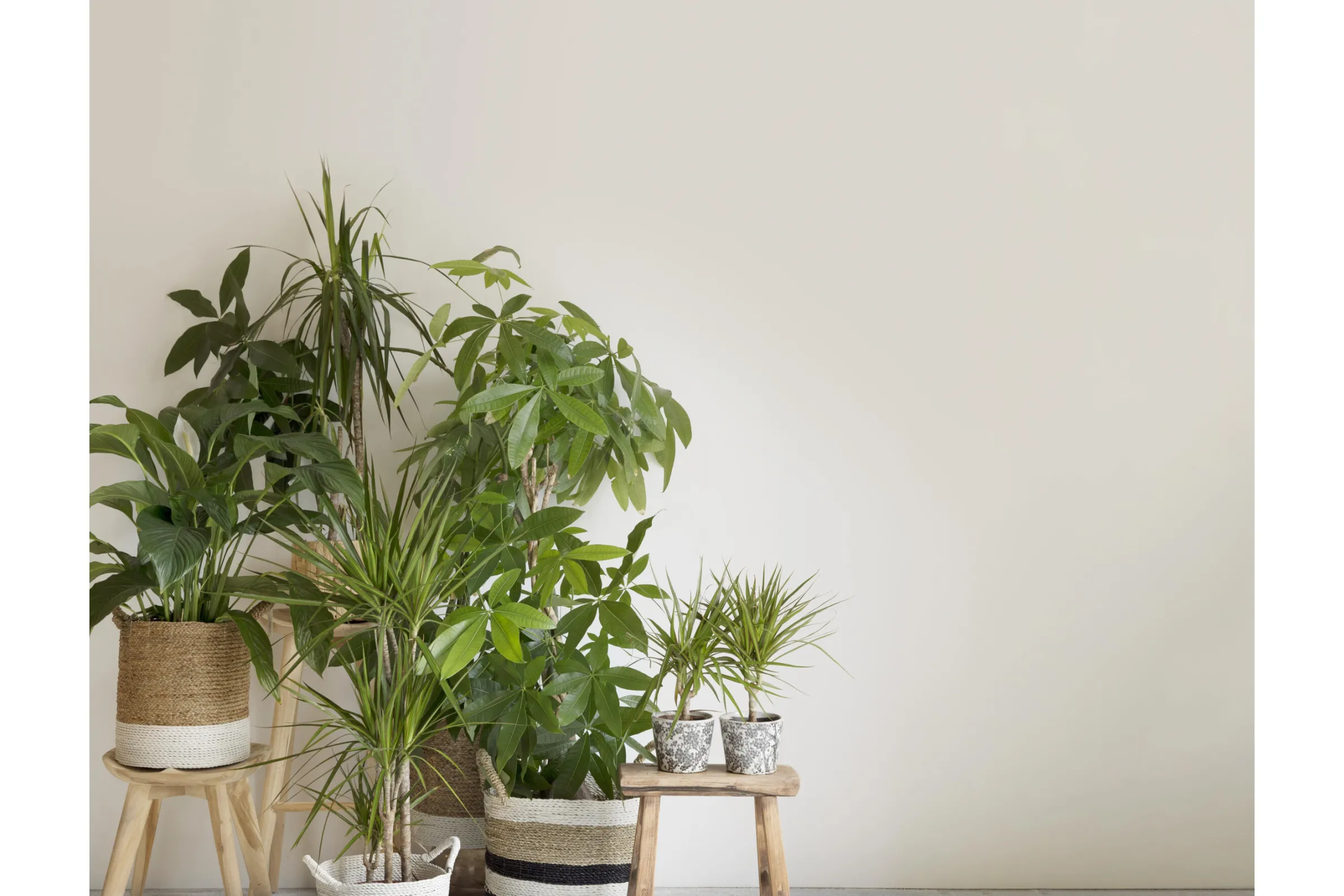 Flamant Kasteel Wit^ Wit