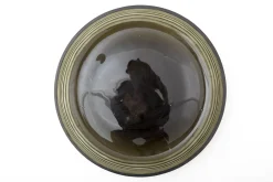 Flamant Kemi, Schotel, Glas^ Decoratie