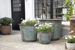 Flamant Manoli, Planter, M^ Tuindecoraties En Parasols