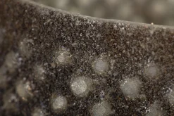 Flamant Max, Windlicht, Glas, M^ Decoratie