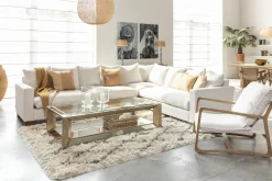 Flamant Mitchell, Salontafel, Rechthoekig, Spiegelglas En Hout, 160X80^ Koffie Tafels