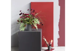 Flamant Spaanse Peper^ Rood